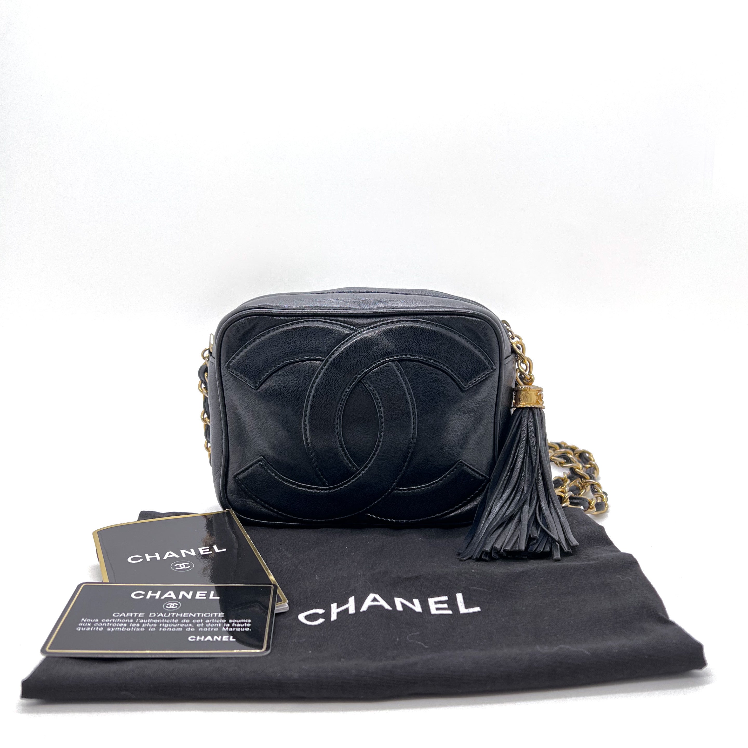 Chanel camera hotsell bag price